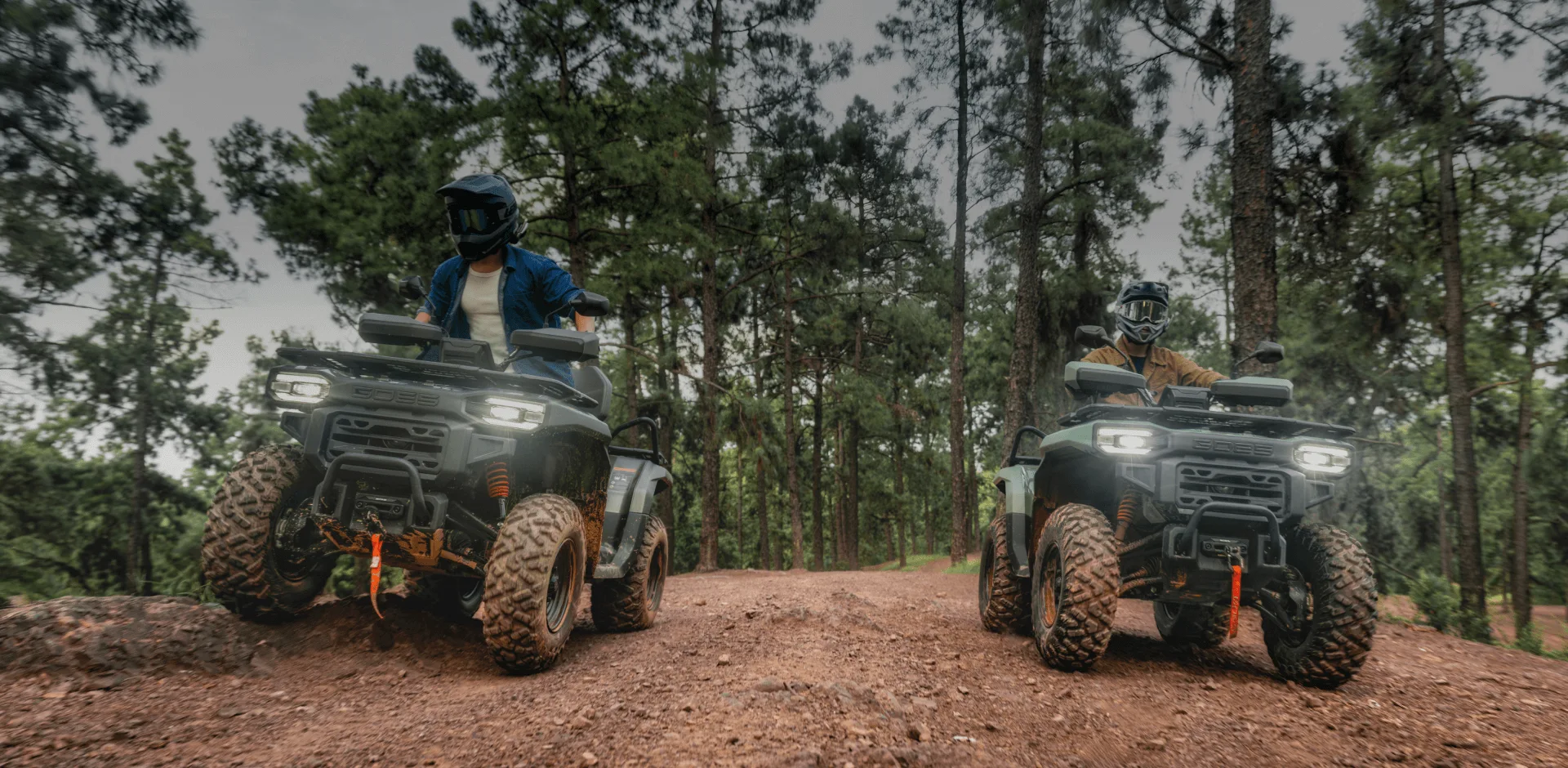 GOES TERROX 550L